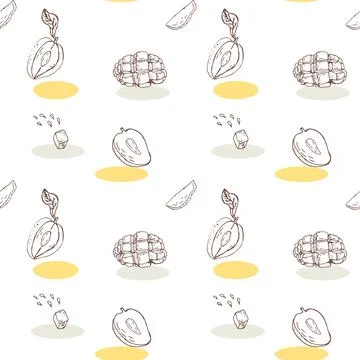Seamless pattern with mango, tropical fruit sketch イラスト素材