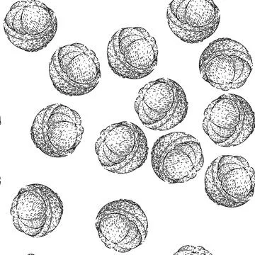 Seamless pattern mangosteen fruit fresh sketch hand drawn Stockillustratie
