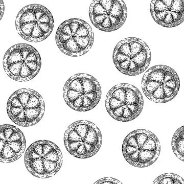 Seamless pattern mangosteen organic fruit sketch hand drawn Stock Illustration