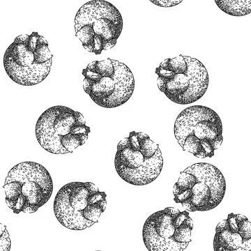 Seamless pattern mangosteen tropical fruit sketch hand drawn Stock Illustration