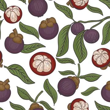 Seamless pattern with mangosteen vector. Assorted fruits of mangosteen. Stock Illustration