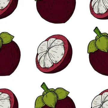 Seamless pattern of mangosteens. Vector cartoon background. Hand-drawn. Stock Illustration