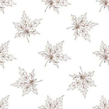 Seamless pattern with maple autumn leafs isolated on white background.  Stock Illustration