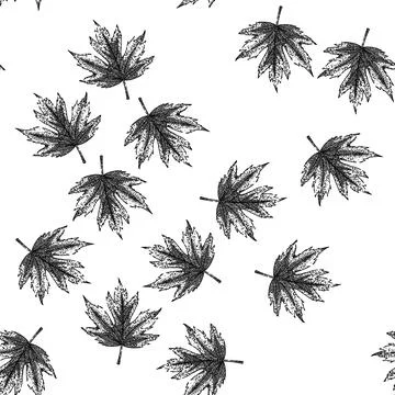 Seamless pattern maple leaf sketch hand drawn イラスト素材