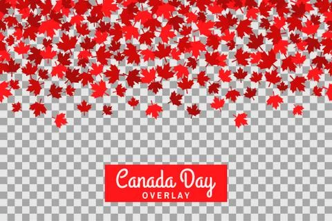 Seamless pattern with maple leafs for 1st of July celebration on transparent Stock Illustration