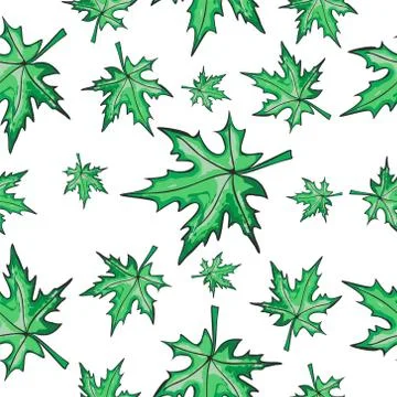 Seamless pattern with maple leaves on an isolated background. Windy colored Illustrazione stock