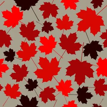 Seamless pattern from maple leaves. Red maple leaves on a grey background. A  Stock Illustration
