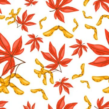 Seamless pattern of maple leaves with seeds. Image of autumn plant. 스톡 일러스트
