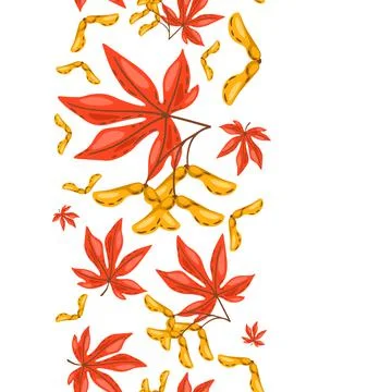 Seamless pattern of maple leaves with seeds. Image of autumn plant. 스톡 일러스트