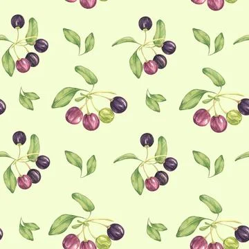 Seamless pattern with maqui berries Stock Illustration