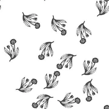 Seamless pattern marigold calendula sketch hand drawn Stock Illustration
