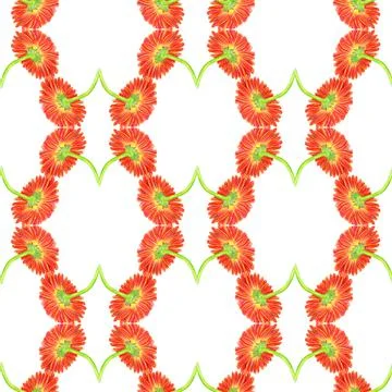 Seamless pattern with marigold flower Stock Illustration