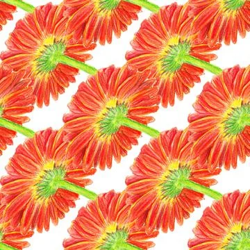 Seamless pattern with marigold flower Stock Illustration