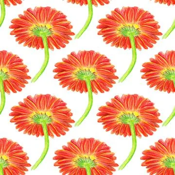 Seamless pattern with marigold flower Stock Illustration