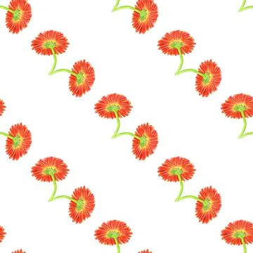 Seamless pattern with marigold flower Stock Illustration