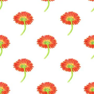 Seamless pattern with marigold flower Stock Illustration