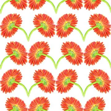 Seamless pattern with marigold flower Stock Illustration