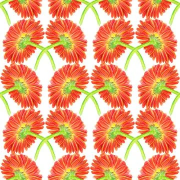 Seamless pattern with marigold flower Stock Illustration