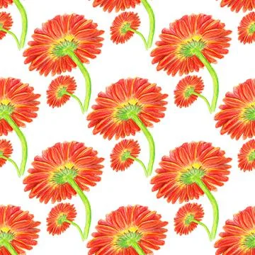 Seamless pattern with marigold flower Stock Illustration