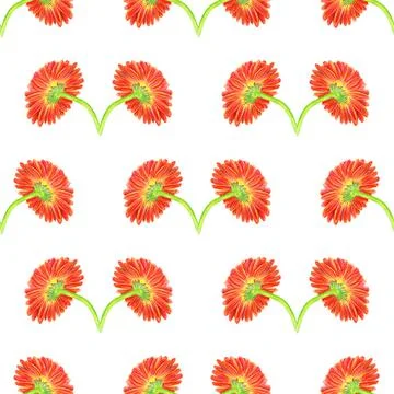 Seamless pattern with marigold flower Stock Illustration