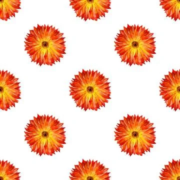 Seamless pattern with marigold Stock Illustration