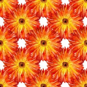 Seamless pattern with marigold Stock Illustration