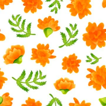 Seamless pattern with marigolds on white backdrop Stock Illustration