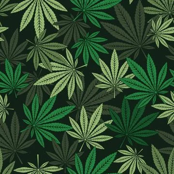 Seamless pattern of marijuana leaf. Stock Illustration