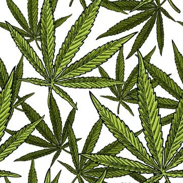 Seamless pattern with marijuana leaf. Vintage black vector engraving illust.. Stock Illustration