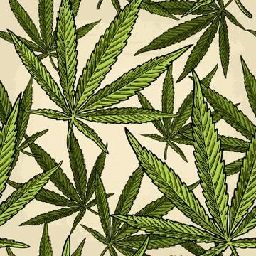 Seamless pattern with marijuana leaf. Vintage black vector engraving illustra Stockillustratie