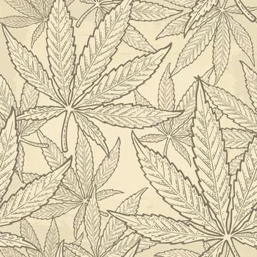 Seamless pattern with marijuana leaf. Vintage black vector engraving illustra Illustrazione stock