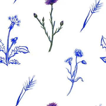 Seamless pattern with Marker drawing of Dandelions. Illustration