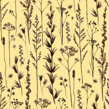 Seamless pattern with meadow floral branches silhouette. Watercolor illustration Stock Illustration