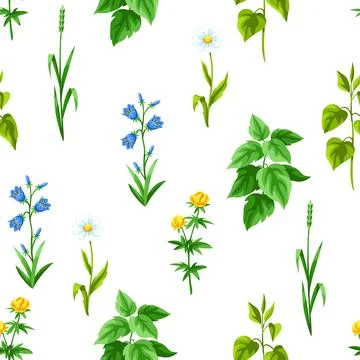 Seamless pattern with meadow flowers. Herbs and cereal grass. Beautiful Stock Illustration