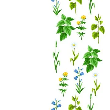 Seamless pattern with meadow flowers. Herbs and cereal grass. Beautiful Stock Illustration