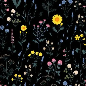 Seamless pattern with meadow flowers Stock Illustration
