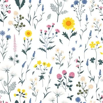 Seamless pattern with meadow flowers Stock Illustration