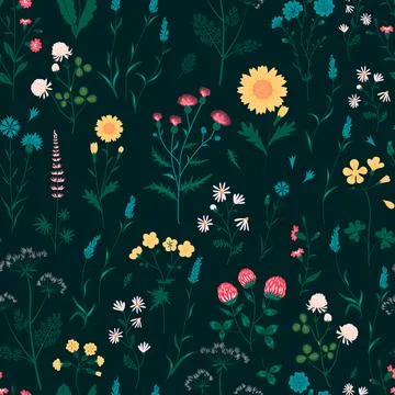 Seamless pattern with meadow flowers Stock Illustration