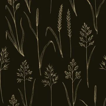 Seamless pattern with meadow grass. Ink drawing of wild cereals. Vector ill.. Stock Illustration