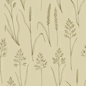 Seamless pattern with meadow grass. Ink drawing of wild cereals. Vector ill.. Stock Illustration