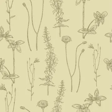 Seamless pattern with meadow ink drawn plants. Stock Illustration