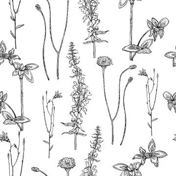 Seamless pattern with meadow ink drawn plants. Illustrazione stock