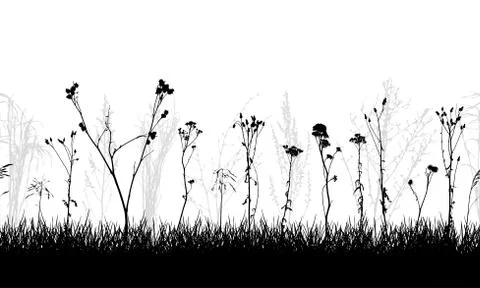 Seamless pattern of meadow with weeds and wild plants, silhouette. Vector ill Illustrazione stock