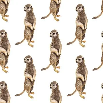 Seamless pattern with meerkat Stock Illustration