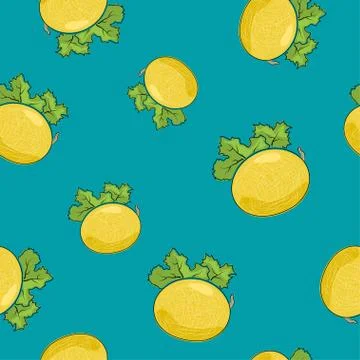Seamless Pattern ,Melon on Azure Background イラスト素材