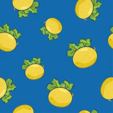 Seamless Pattern ,Melon on Blue Background Stock Illustration
