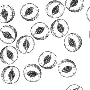 Seamless pattern melon cantaloupe cut sketch hand drawn イラスト素材