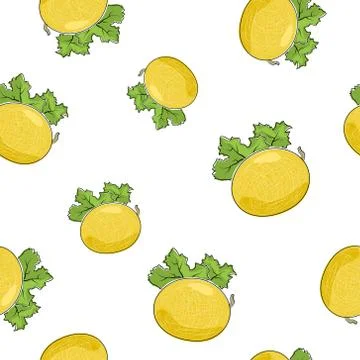 Seamless Pattern of Melon Stock Illustration
