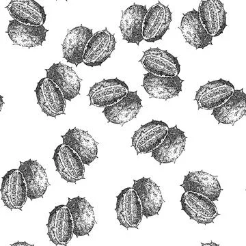 Seamless pattern melon kiwano sketch hand drawn イラスト素材