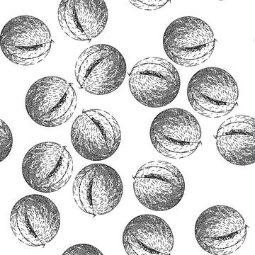 Seamless pattern melon yellow sketch hand drawn イラスト素材